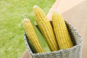 10 thực phẩm bổ não