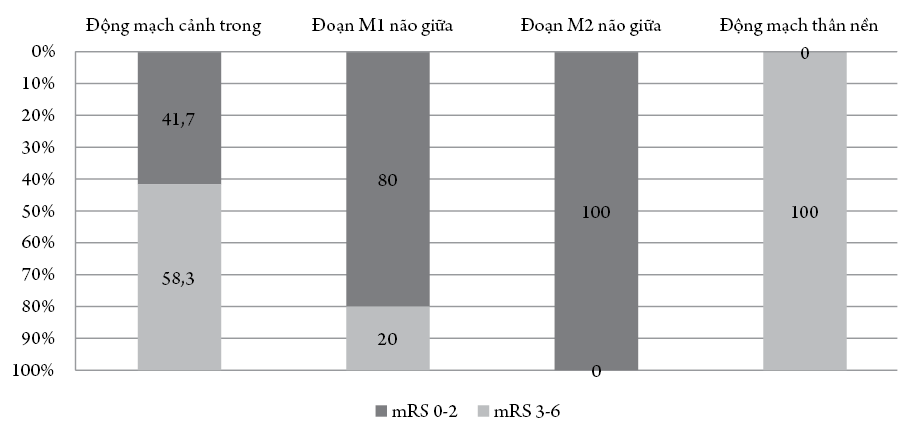 Kết quả áp dụng phương pháp lấy huyết khối cơ học ở bệnh nhân nhồi máu não cấp giai đoạn 2016-2019 tại Bệnh viện Hữu nghị Đa khoa Nghệ An