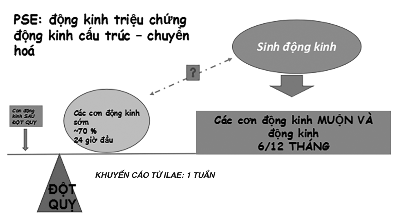 Các cơn động kinh sau đột quỵ (Post -stroke epilepsies: PSE)