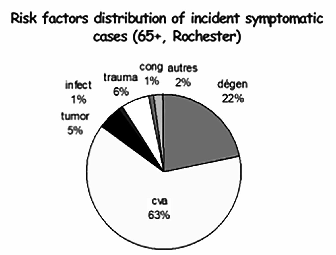 Các cơn động kinh sau đột quỵ (Post -stroke epilepsies: PSE)