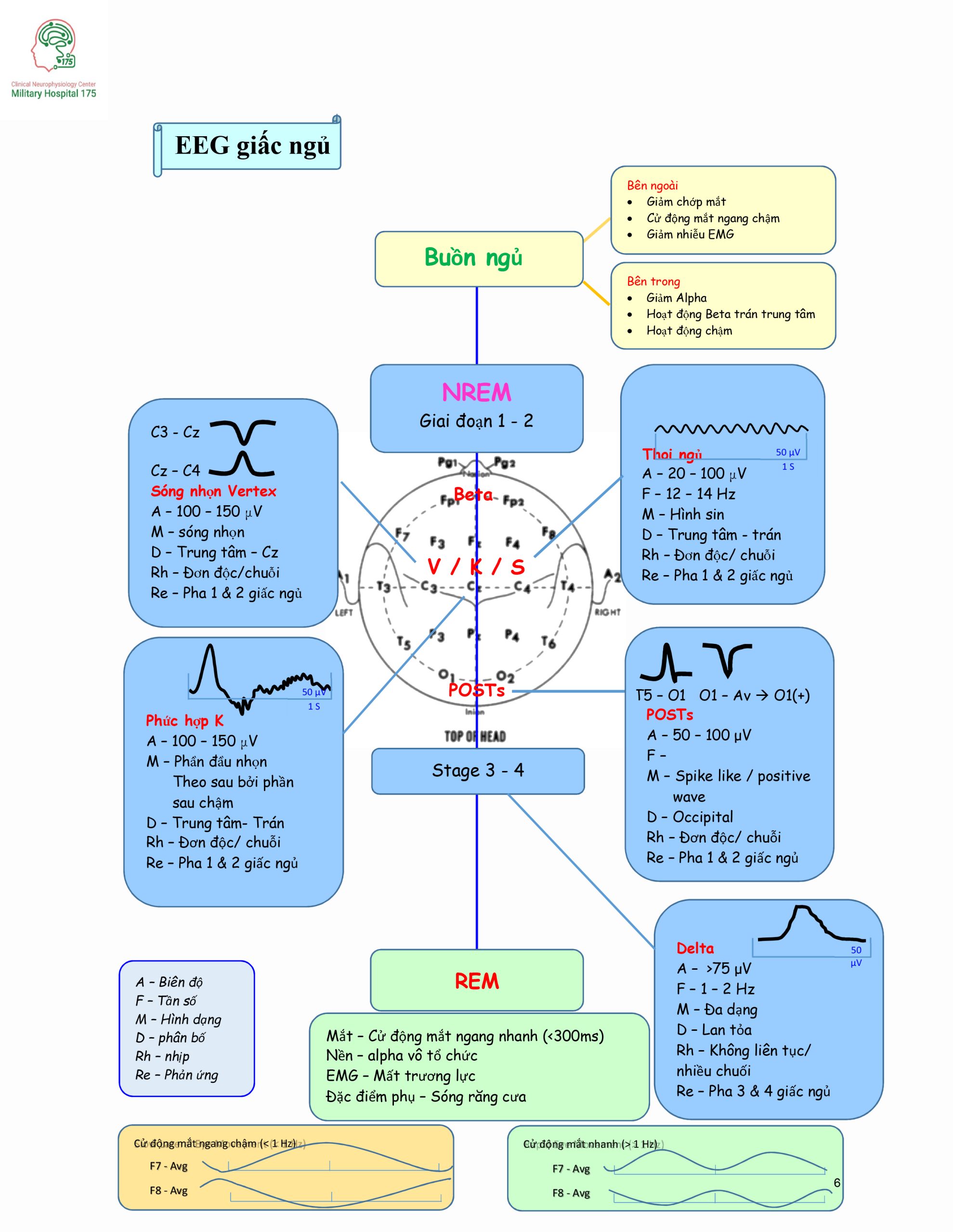 Sổ tay điện não