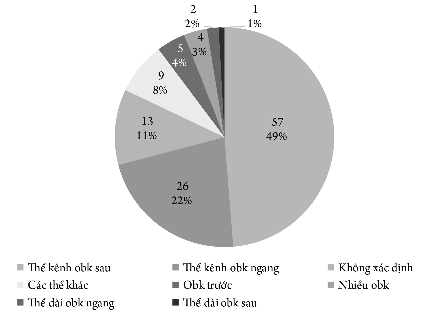 Đặc điểm dịch tễ học lâm sàng chóng mặt tư thế kịch phát lành tính: Triển khai ứng dụng hệ thống ghi hình rung giật nhãn cầu tại Khoa Nội Thần kinh