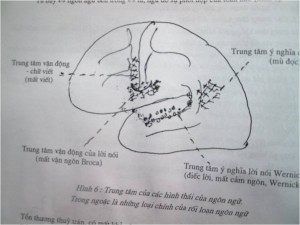 THẦN  KINH  TÂM  LÝ  LÂM  SÀNG