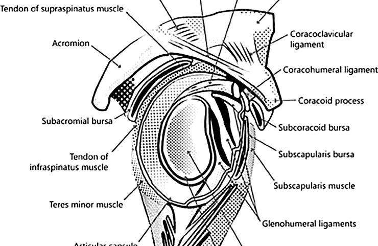 Đau sau đột quỵ (Post Stroke Pain)