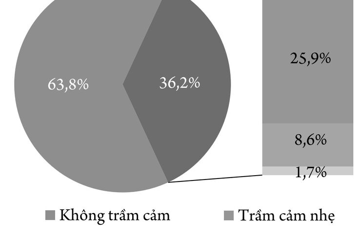 Trầm cảm và một số yếu tố liên quan ở bệnh nhân nhồi máu não tại Bệnh viện Trung ương Thái Nguyên