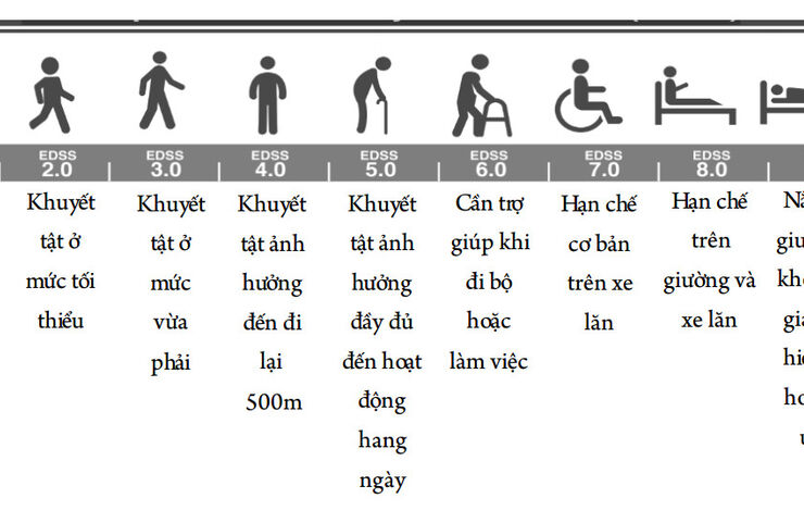 Hướng dẫn chẩn đoán và điều trị bệnh xơ cứng rải rác