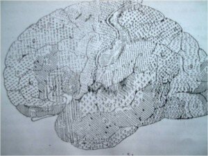 THẦN KINH TÂM LÝ LÂM SÀNG