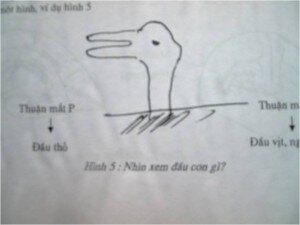 THẦN KINH TÂM LÝ LÂM SÀNG