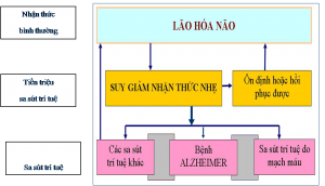 Tiếp cận chẩn đoán và xử trí sớm sa sút trí tuệ