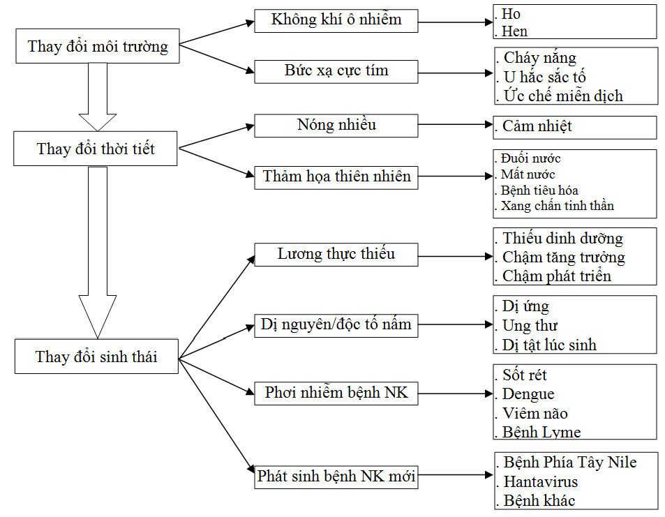 Biến đổi khí hậu toàn cầu với sức khỏe trẻ em