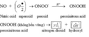Tham luận về gốc tự do