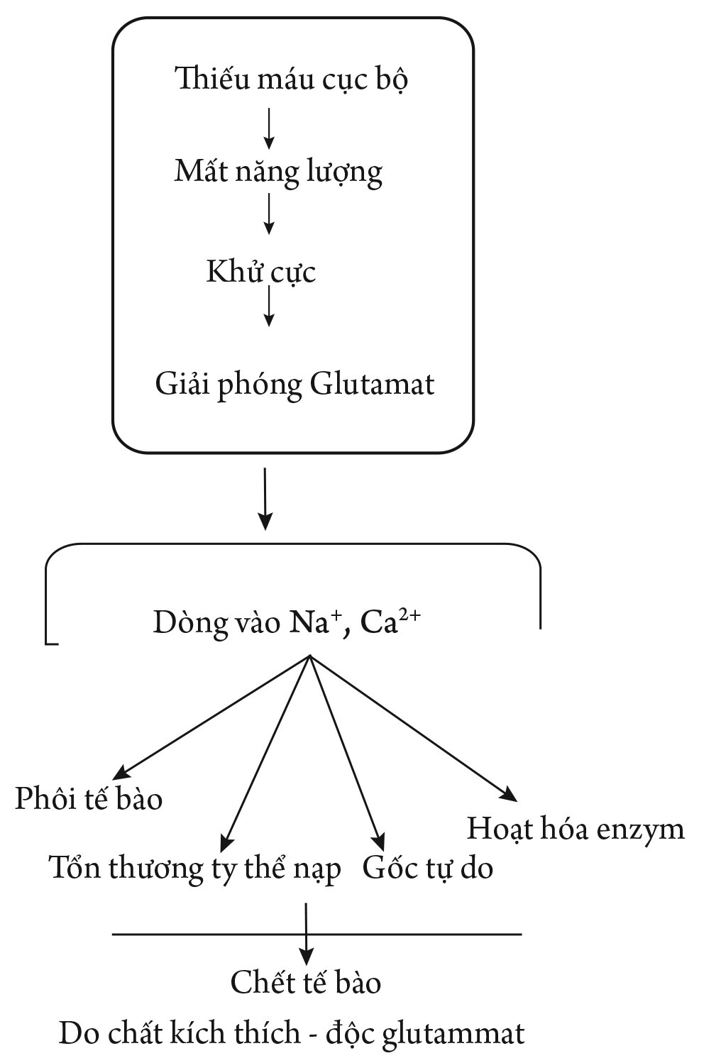 Tham luận về gốc tự do