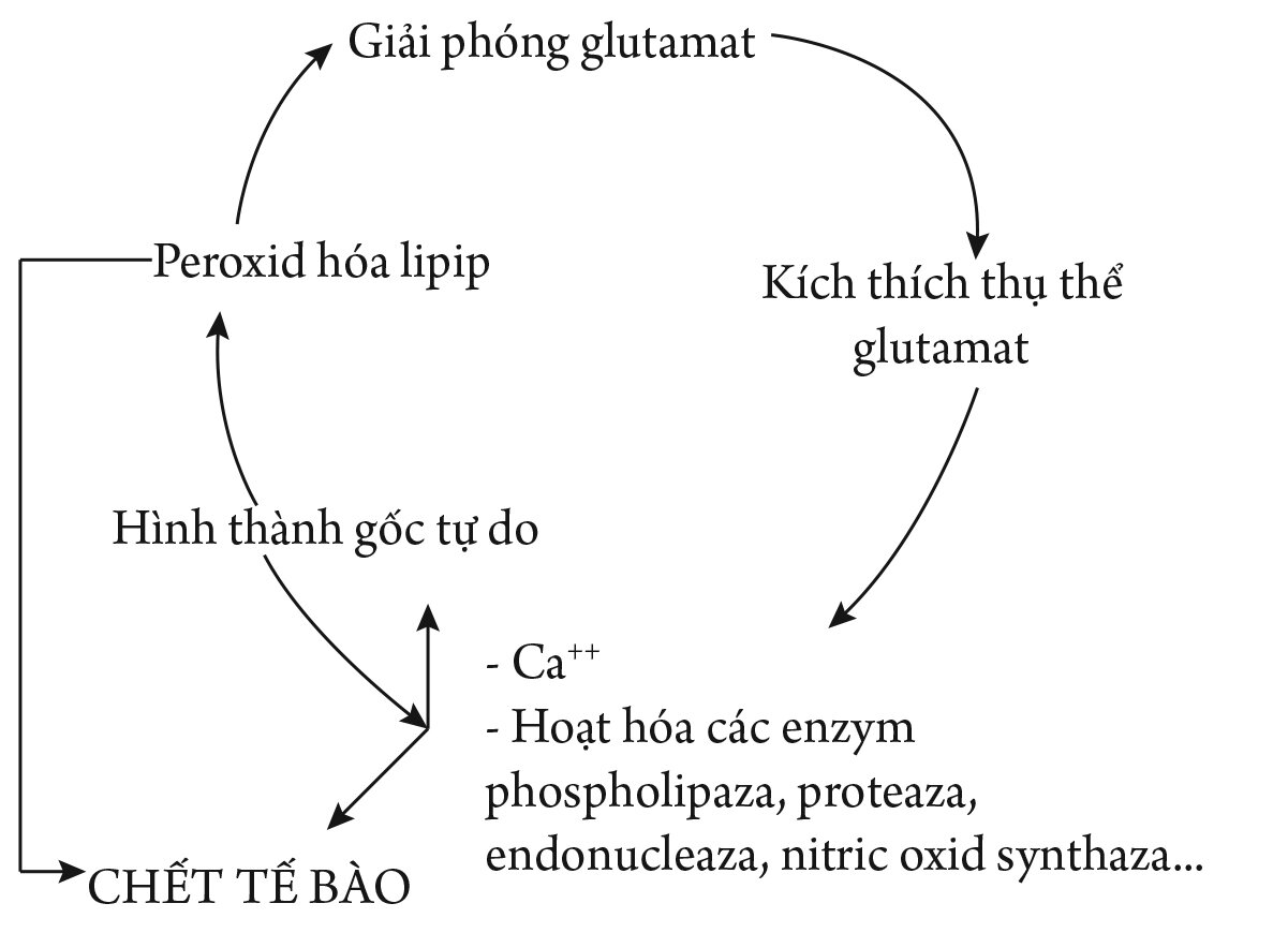 Tham luận về gốc tự do
