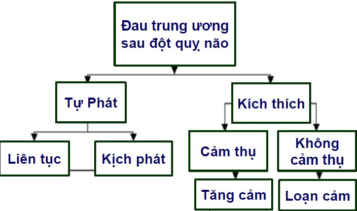 Đau sau đột quỵ não từ lâm sàng, hình ảnh học đến cập nhật điều trị