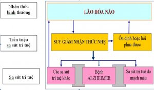 Tiếp cận chẩn đoán và xử trí sớm sa sút trí tuệ