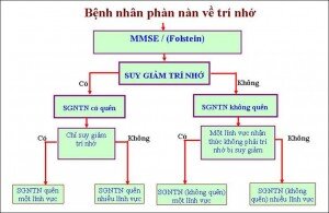 Tiếp cận chẩn đoán và xử trí sớm sa sút trí tuệ