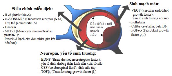 Quan điểm mới: Hoạt tính tự vệ nội sinh, Tính mềm dẻo, Sự tái tạo thần kinh và Lý luận trị liệu trong bệnh lý thần kinh