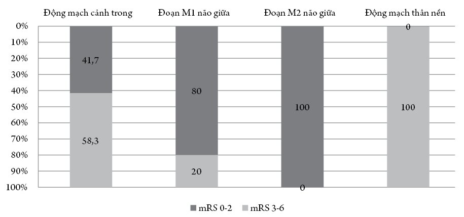 Kết quả áp dụng phương pháp lấy huyết khối cơ học ở bệnh nhân nhồi máu não cấp giai đoạn 2016-2019 tại Bệnh viện Hữu nghị Đa khoa Nghệ An