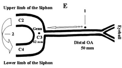 Siêu âm Doppler xuyên sọ: từ lý thuyết đến thực hành