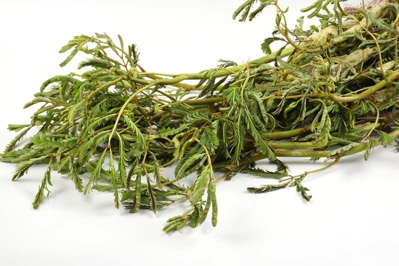 Top 15 loại rau chữa mất ngủ giúp ngủ ngon hơn