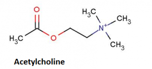 Đánh giá nồng độ kháng thể kháng thụ cảm thể Acetylcholine ở bệnh nhân nhược cơ