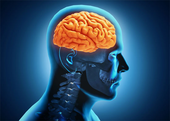 Tầm quan trọng của dự phòng đột quỵ não nguyên phát