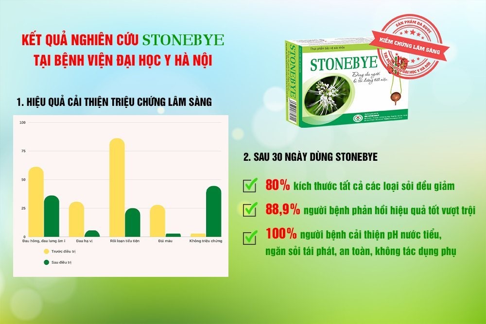 Stonebye – Đã được nghiên cứu kiểm chứng hiệu quả và độ an toàn!
